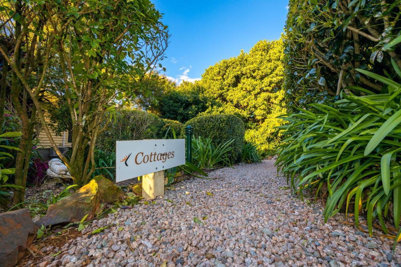 Camelot Boutique Accommodation Mount Tamborine Eksteriør billede
