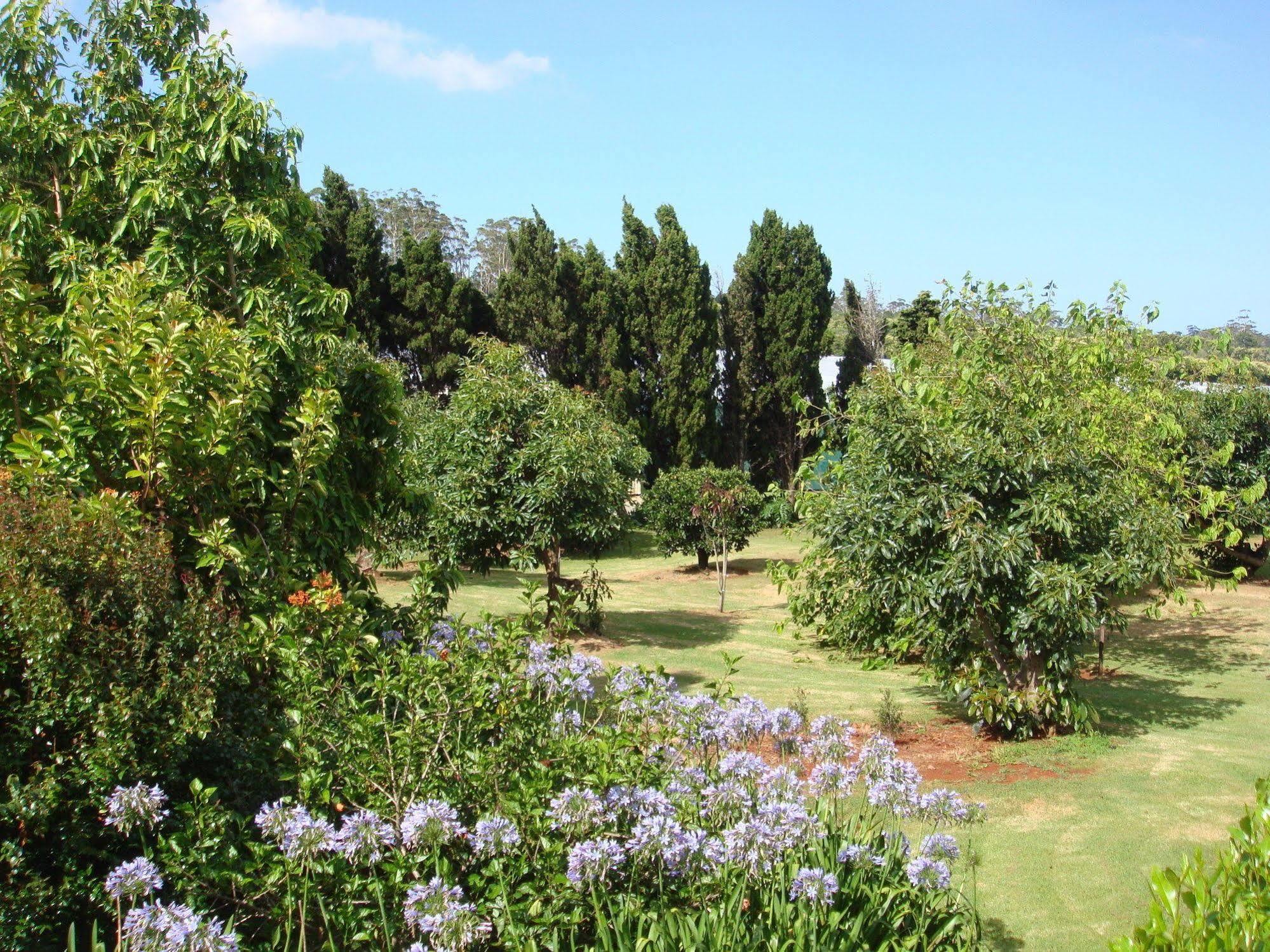 Camelot Boutique Accommodation Mount Tamborine Eksteriør billede