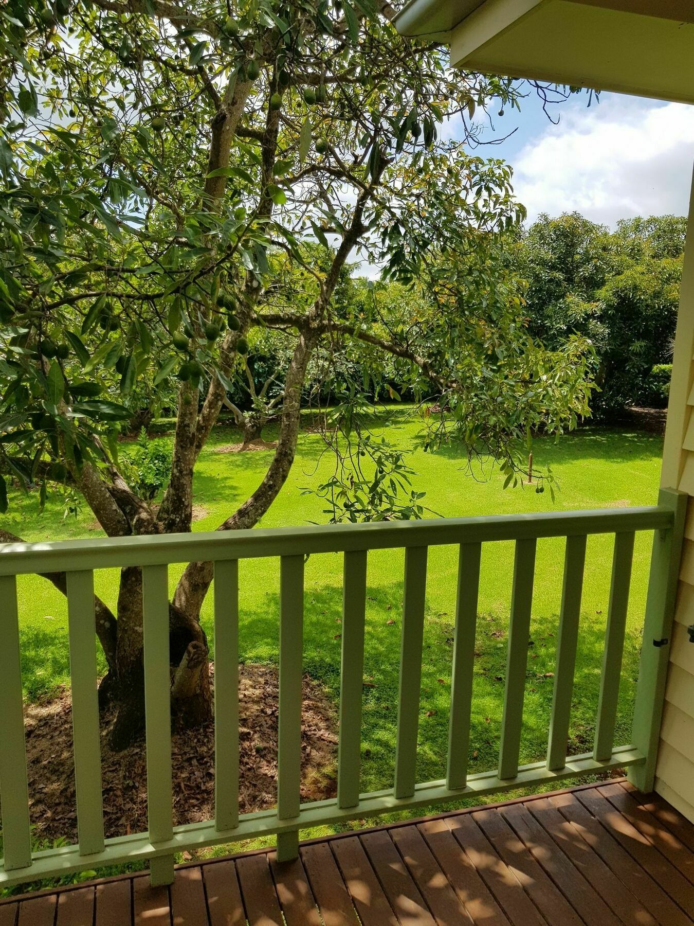 Camelot Boutique Accommodation Mount Tamborine Eksteriør billede
